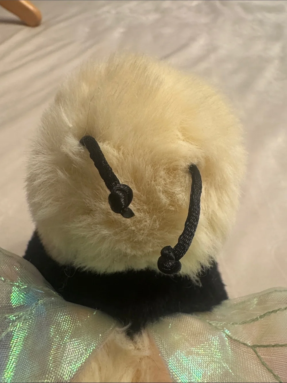 Douglas Chive Bee